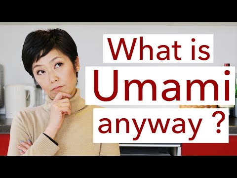 What is Umami anyway ? Do you know what Umami exactly is ?