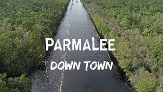 Parmalee - Down Town (Hurricane Florence Relief Song) Lyric Video