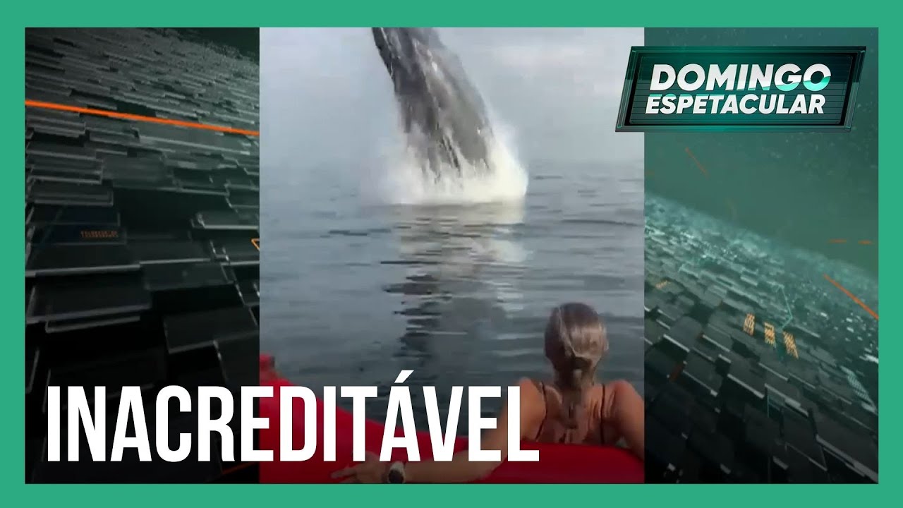 Mulher fica anos sem falar após ingerir moeda e homem é engolido por baleia