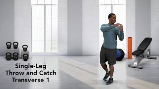 Single-Leg Throw and Catch Transverse exercise video thumbnail