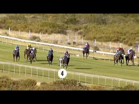 IRISH MORNING - Kenilworth 6/2/21