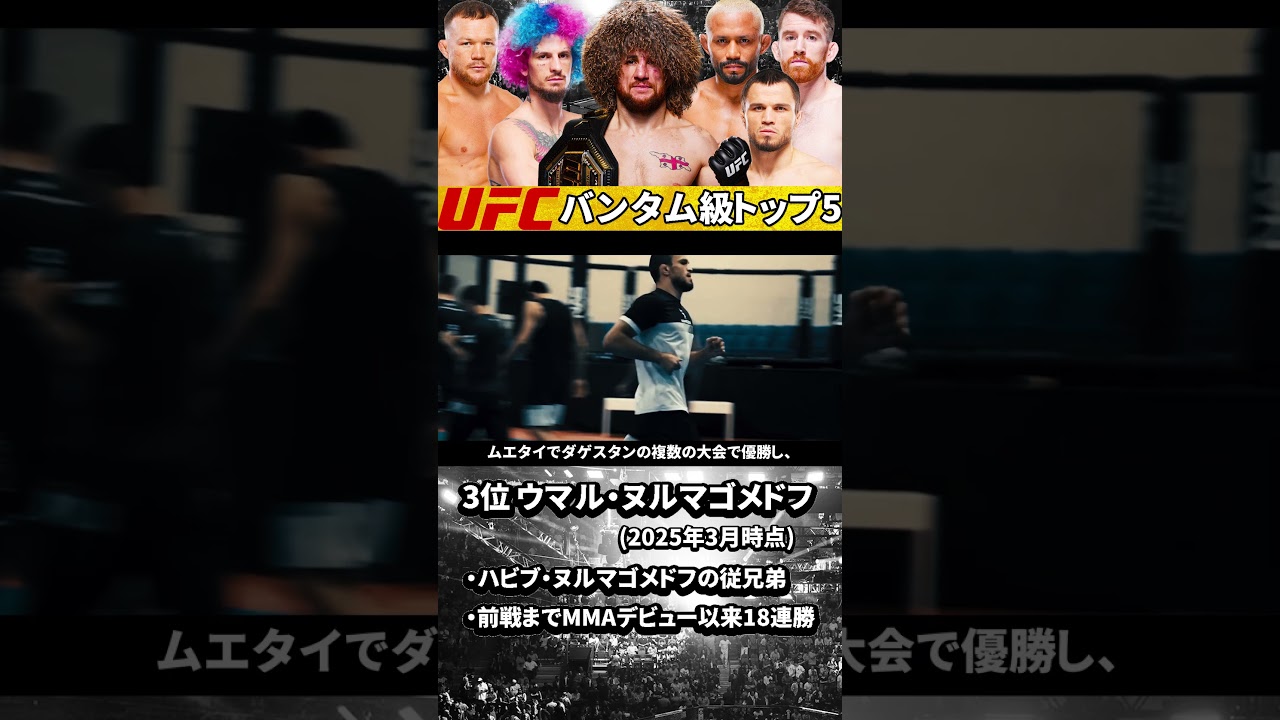 【UFCバンタム級3位】『ウマル・ヌルマゴメドフ』(2025年3月時点)