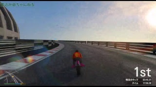 【GTA5】サメと二人でマルチ散歩