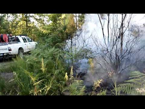 Vab Limite -  Controfuoco incendio boschivo