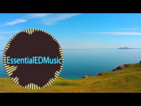 Blusterbat - A NEW BEGINNING