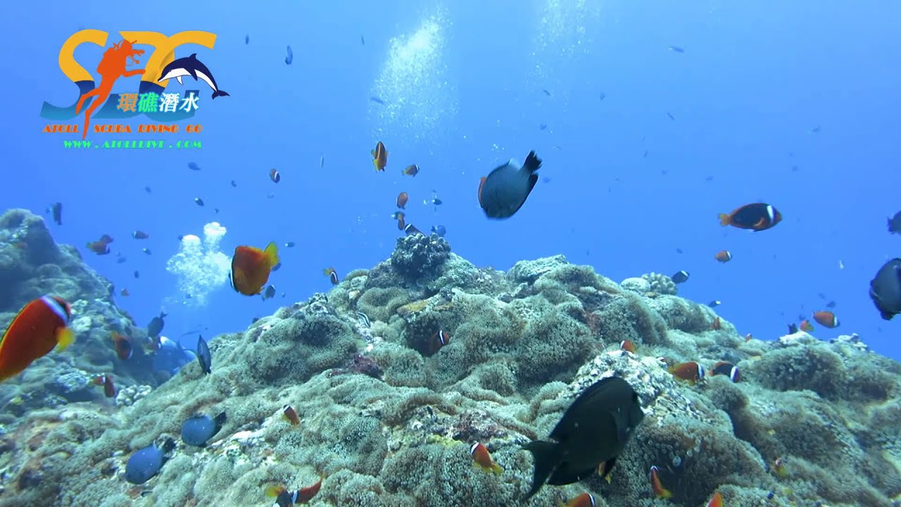 墾丁環礁潛旅中心-潛進綠島(珊納賽) 二部曲