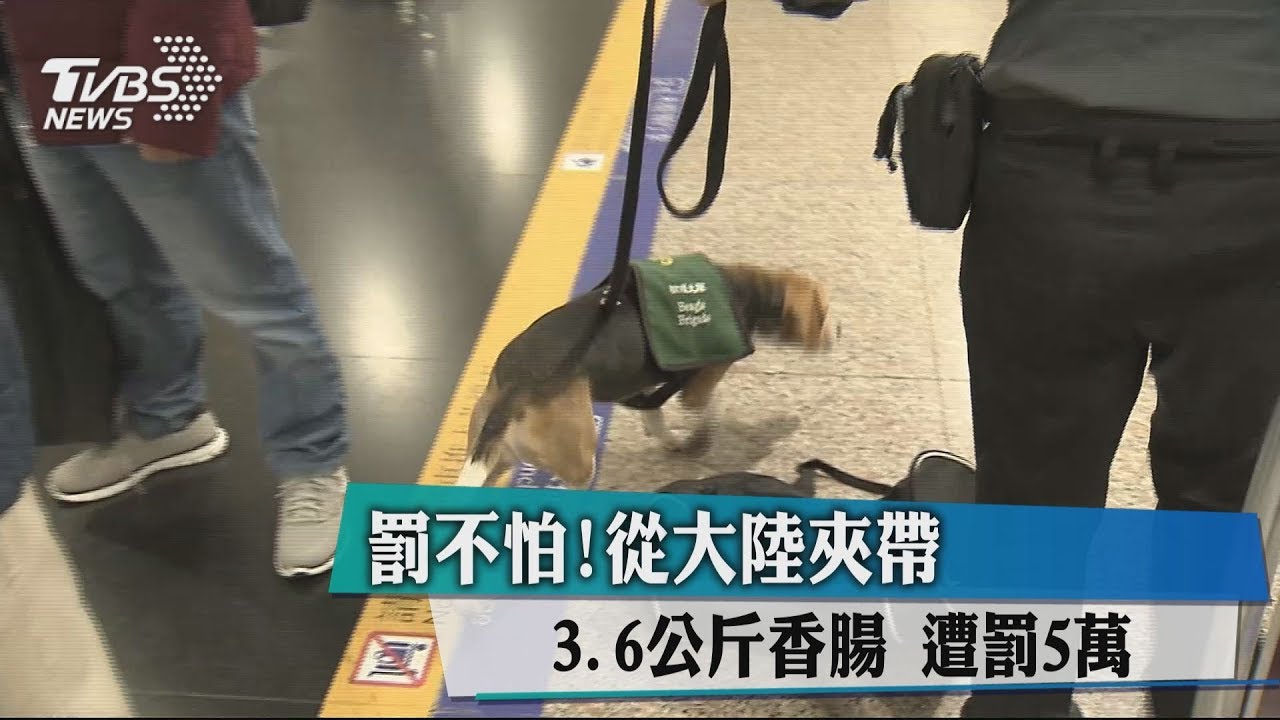 罰不怕!從大陸夾帶3.6公斤香腸 遭罰5萬