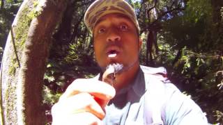 Stone that the builder refused