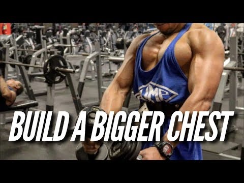 LETS BUILD YOUR CHEST!