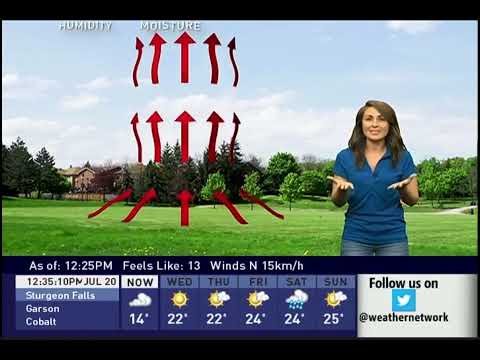 TWN Local Forecast & Storm Coverage - July 20th, 2021 (1)