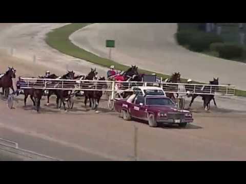 Aversa trotto 25 Gennaio 2020 - 5° Corsa