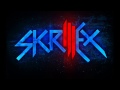Skrillex FEAT Alvin Risk - Imma Try It Out 
