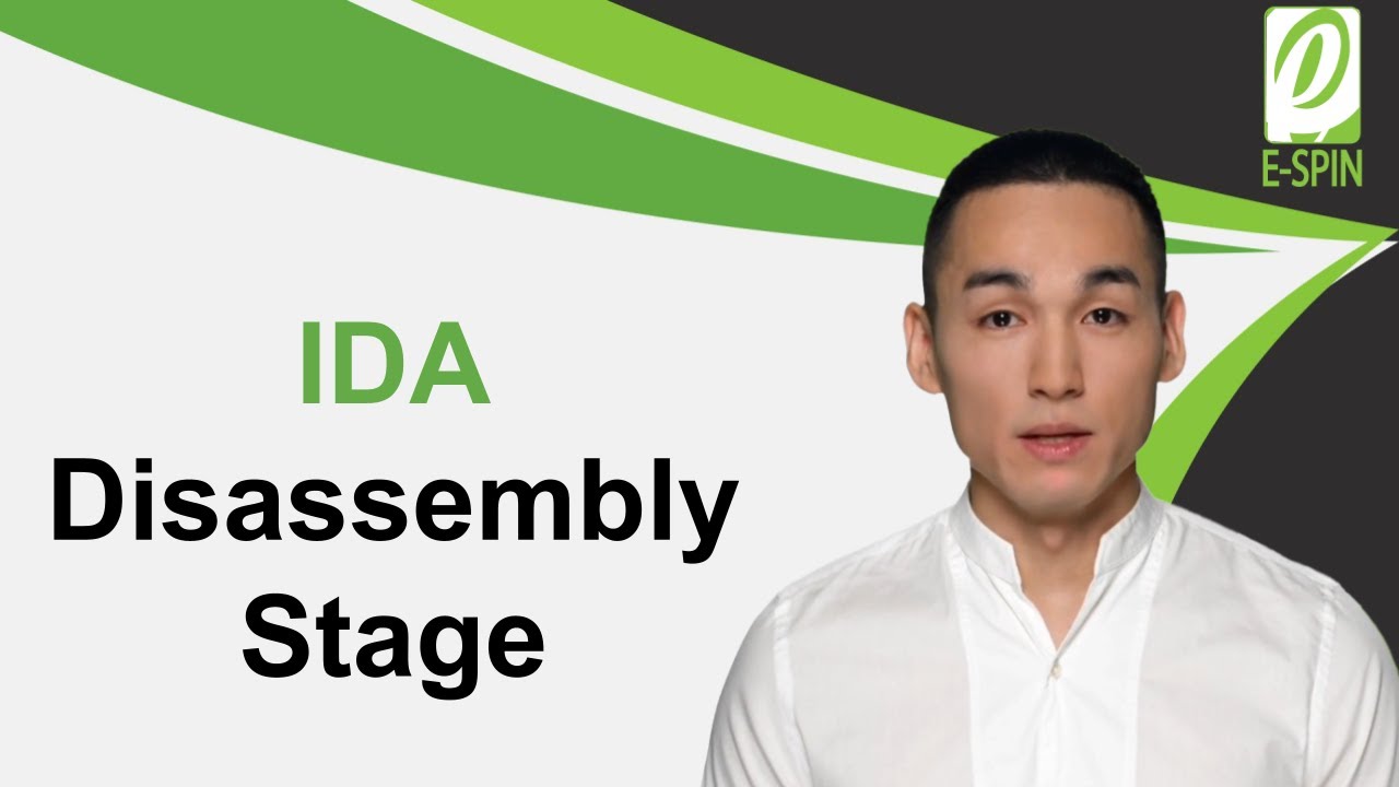IDA Disassembly Stage | E-SPIN