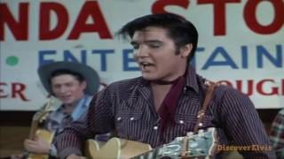 Elvis Presley - Hot Dog [HD]