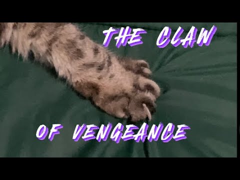 The Claw Of Vengeance