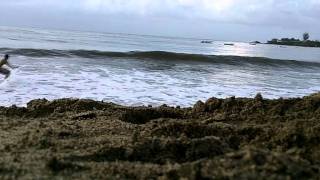 My Paradise & Alley Oop  LBS Skim Classic (GoPro 2011)