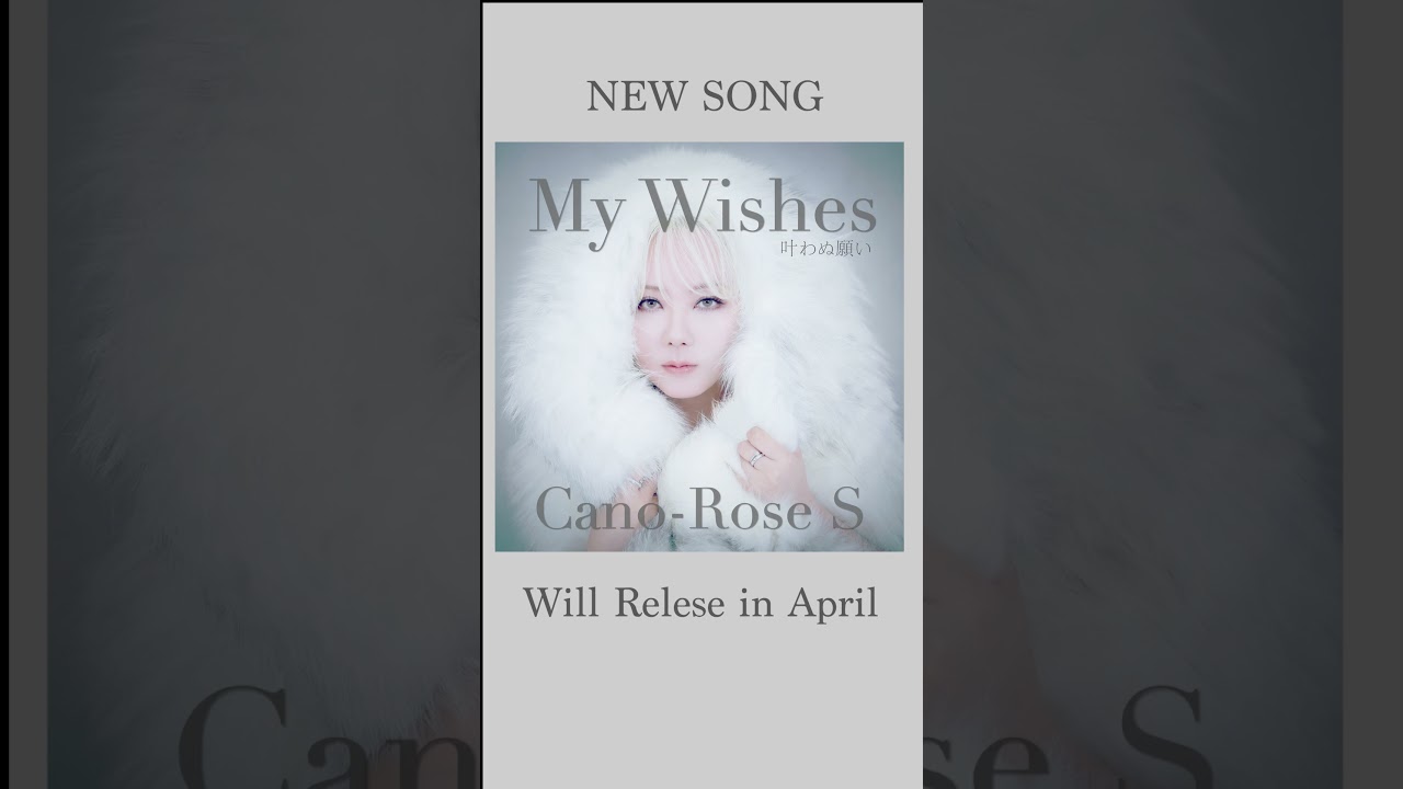 Cano-Rose New song 'My Wishes' #shorts