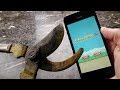 The Perfect Solution To Flappy Bird - YouTube