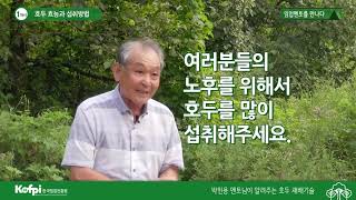 [호두1] 호두 효능과 섭취방법