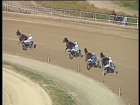 Trotto 12/11/2017 - prova di qualifica