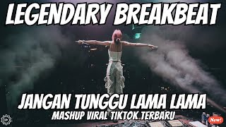 Download lagu DJ, don't wait too long for the viral TikTok remix mp3