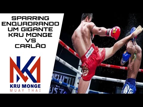 Sparring enquadrando um gigante Kru Monge vs Carlão