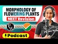 MORPHOLOGY OF FLOWERING PLANTS In 72 Minute Quick Revision PODCAST CLASS 11th NEET