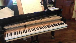 Holy Sh*t! There&#39;s a mouse in my piano!