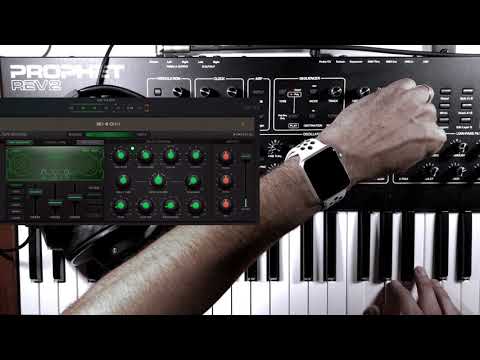 DSI PROPHET REV 2  ¥  NUMERICAL AUDIO RE-1 ....space echo/looper noodle jam