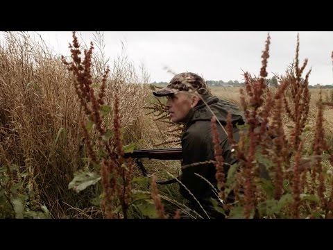 NL Hunt - Goose hunting at Schiphol