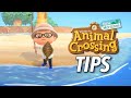 Animal Crossing: New Horizons Tips | Kotaku