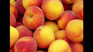 I Wish I Knew How It Would Feel To Be Free - Tedeschi Trucks Band 4/21/2018