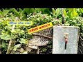 माैलिक लाेक भाका पानीकाे कलधारा Pani Ko Kaldha