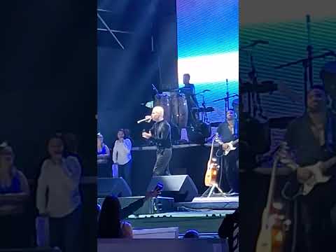 Noreh Los Mismos, conciertos Los Borjas Wynwood Park Valencia diciembre 2023