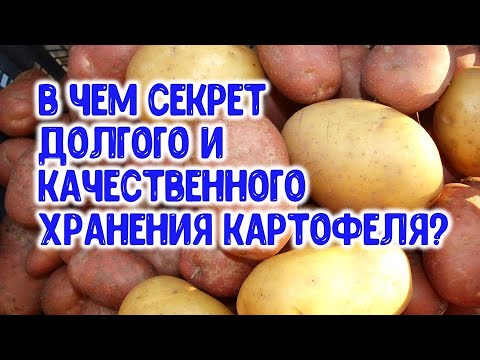 , title : 'В чем секрет хранения картофеля зимой? Что нужно сделать, чтобы картошка хранилась до нового урожая?'