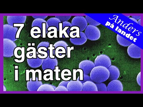 Därför blir du magsjuk …