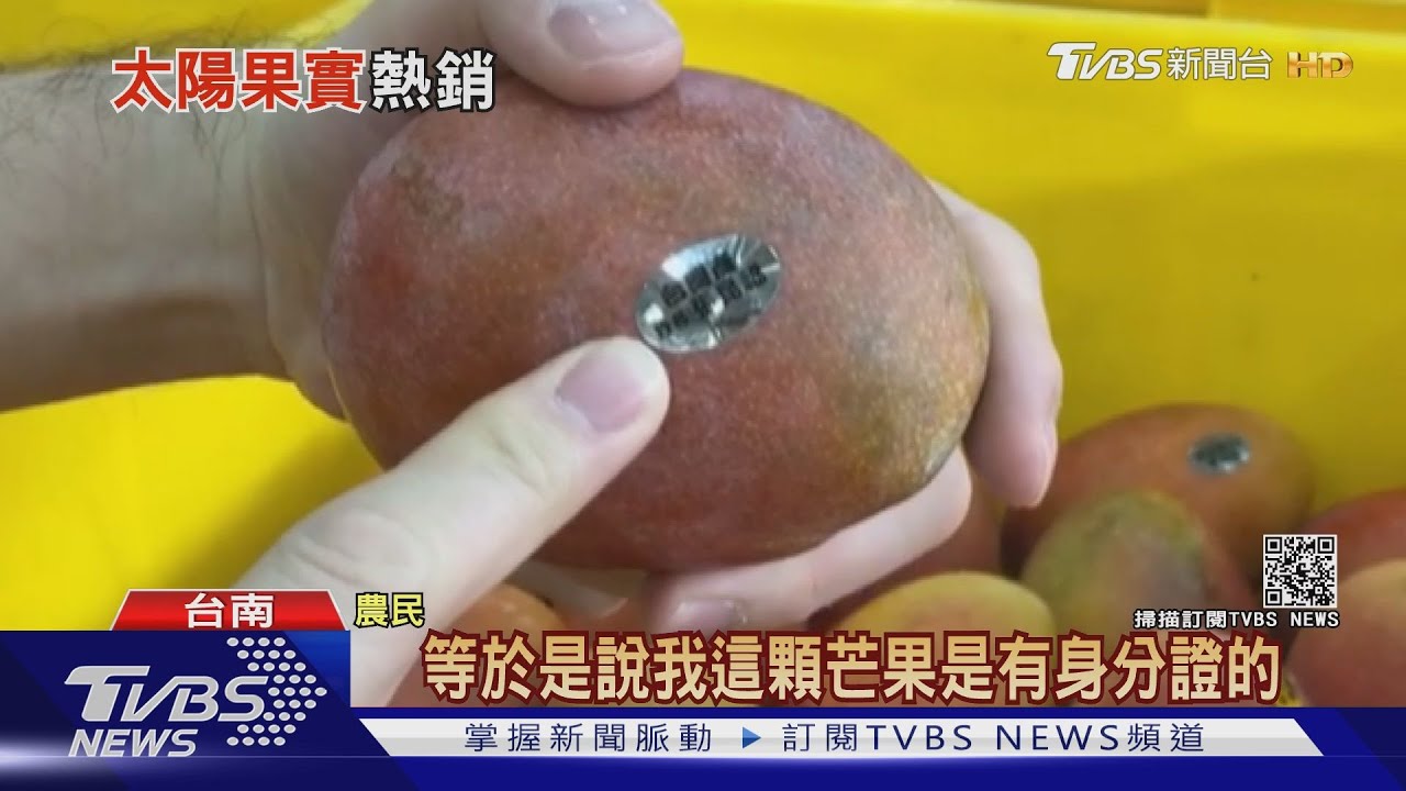 屏東枋山愛文芒果「訂不到沒關係」! 台南玉井、南化進入旺季
