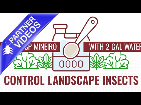 Atticus Mineiro 2F Insecticide Overview Video 