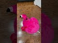 Unbox IPlay ILearn Bouncy Pals Kids Flamingo Hopper Ball Inflatable Bouncing Animal Hopping Toys