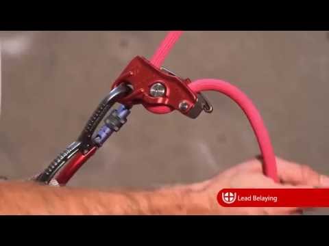 Lifeguard Belay Device