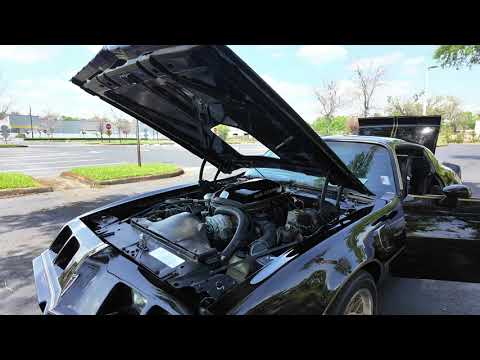 1979 Pontiac Firebird Trans Am (CC-2056404) for sale in Lakeland, Florida
