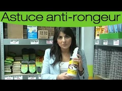 Comment éloigner les serpents de son jardin