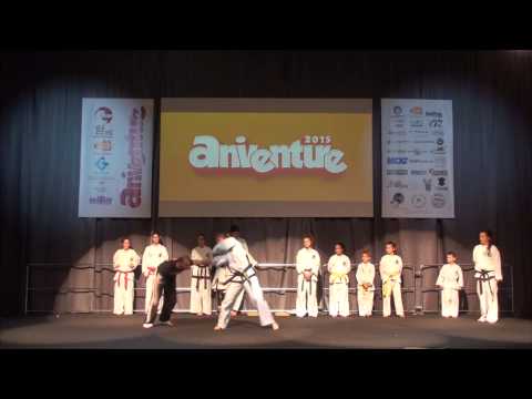 Aniventure 2015 Taekwondo demonstration