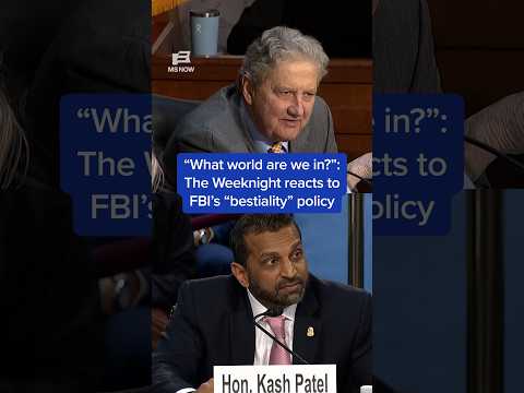 'What world are we in?': The Weeknight reacts to FBI’s 'bestiality' policy