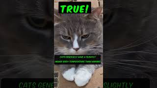 True or False? #trueorfalse #facts #animals #cats #cat #temperature #bodyheat #heat #warmer #cute