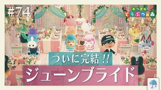 1年ぶりの、あのイベント... 『ジューンブライドイベント』最後までたっぷり遊ぶ！！ ＃74【#あつまれどうぶつの森】