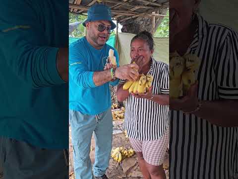 Degustando fruto manzanito, en el municipio de Chimá, Córdoba, en Colombia #cultura #frutos