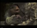 Dinosaur Theatrical Trailer PAL Tone