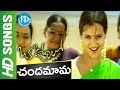 Chandamama Okati Video Song - Oka Oorilo Movie || Tarun || Saloni || Raja || Ramesh Varma || DSP