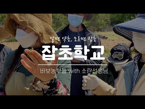 , title : '잡초학교 풀영상 (feat.소란선생님)'